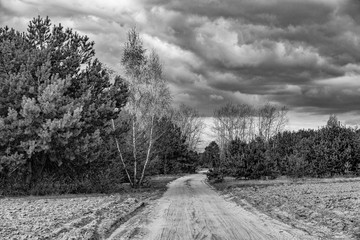Obraz na płótnie Canvas spring landscape with a dirt road, fields, trees and sky with clouds in Poland
