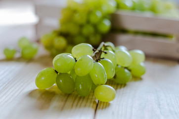 Bunch of grapes on the table