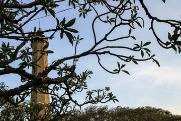 Travel around Asia. seascape with lighthouse and plants on the coast in the evening, Vietnam