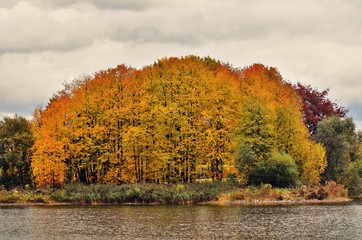 Autumn trees on the river. Kuskovo park in Moscow