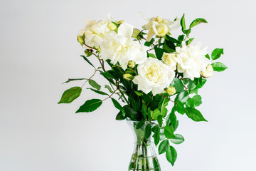 White roses flowers in vase. Bouquet of white roses in vase on the blue background. Nice gift for...
