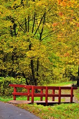 Autumn in the city park