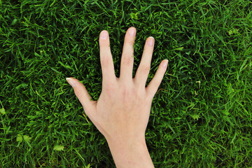 hand fingers on spring green grass background - Powered by Adobe