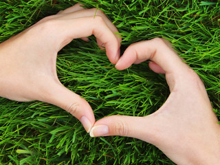 heart made of hands on a background of green grass in spring