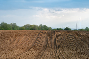Fototapeta premium european countryside spring landscape