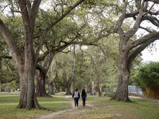 View of two women walking surrounded by oak trees at Audubon Park, New Orleans, Louisiana, USA.