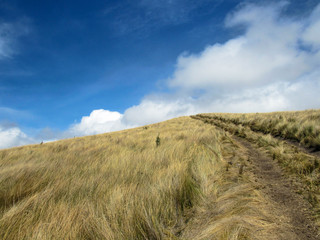 path to the sky