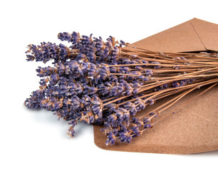 Dried brunch of aroma lavender isolated on the white