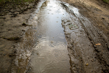 first raindrops in a puddle
