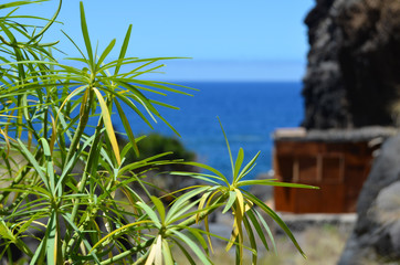 Blick auf das blaue Meer, Urlaub, La Palma, Kanarische Inseln