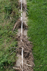 大水の日の川辺