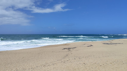 Fototapeta na wymiar Empty sandy beach littered with seashells in Povoa de Varzim, Portugal. Beautiful blue sky and turquoise ocean.