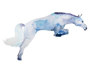 Fototapeta na wymiar watercolor white horse painted in blue colors, isolated on white background