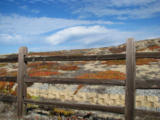 Fence on Sand Dune on Monterey Bay Beach California