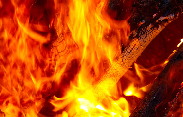 fire flame close up on black background. Burning fire of Bonfire close-up