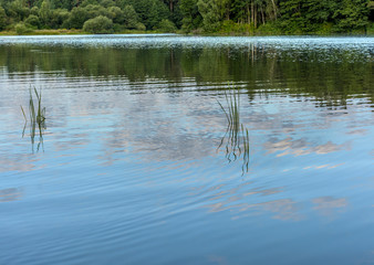 Early morning on the shore of the Drozdy reservoir.