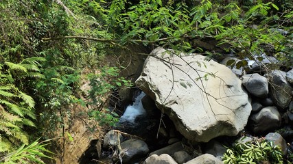 stones and grass in a Tangsi river in the Potorono forest, central Java in Indonesia