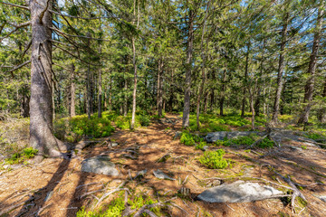 Blick in den Bayerischen Wald | Käseplatte bei St. Englmar