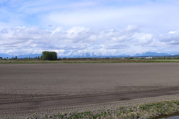 Fototapeta na wymiar Freshly plowed farmland ready for some sweet seeds