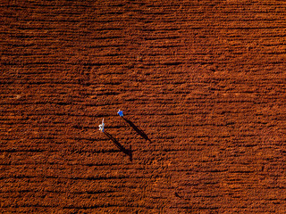 Aerial view of land prepared for planting and cultivating the crop - Photo of drone of plowed land on farm