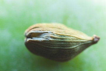 Close up of Green Cardamom pods