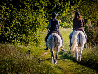 2 women riding horses strolling along a path in a green field at sunset.
