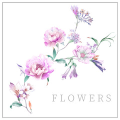 Watercolor flowers illustration