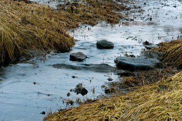 Calm water stream