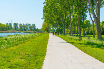 Cyclists biking along a path with trees and a canal below a blue sky in sunlight in spring