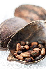 Cocoa Pods On White Wooden Table