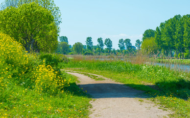 Fototapeta na wymiar Canal with wild flowers and lush foliage below a blue sky in sunlight in spring