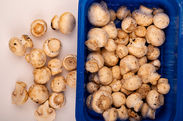 Young mushrooms in a plastic container and young mushrooms scattered on a white background. Close up.