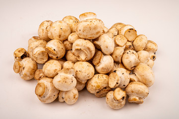 Young mushrooms scattered on a white background. Close up.