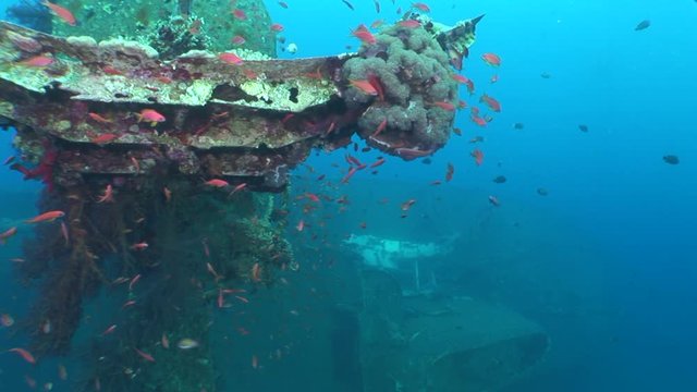 ship wreck scenery underwater shipwreck metal on the ocean floor tropical corals and fish scuba divers to explore and take photos