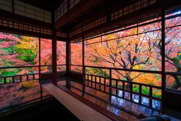 京都　瑠璃光院の紅葉