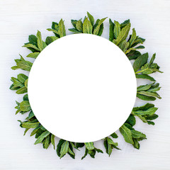 Round frame with Fresh Mentha suaveolens, apple mint, pineapple, woolly or round-leafed mint leaves on wooden white background. Leaf pattern. Flat lay, top view, copy space