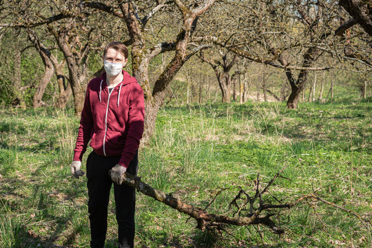 Young Man On A Cleanup Day. Drags A Large Cut Branch. Park Cleaning. On The Face Is A White Medical Protective Mask. Protection Against Coronavirus, Viruses And Diseases.