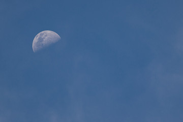 Moon in the evening sky