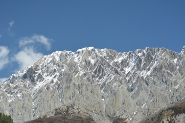 Snow capped mountains in Ladakh form part of the Himalayas. Some pine trees are to one side. The sky is blue with faint white clouds.