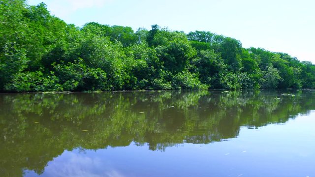 Visiting the Mangroves of La Tovara National Park. Ramsar Site, City of San Blas. Matanchen Bay, Pacific Ocean, Riviera Nayarit, Nayarit State, Mexico, Central America, America
