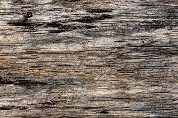 Rustic wooden texture, empty Soft wood background