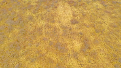 Deer paths through tall grasses and brush in an otherwise empty field. Paths are random throughout the field. 