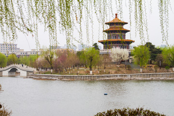 Chinese pavilion in the park in spring  with shadow reflection in the lake