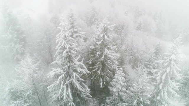 Winter Carpatians nature , realtime snowfall, UHD 4K