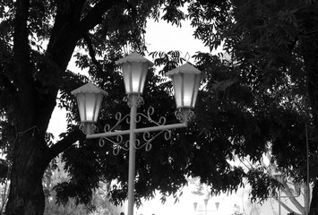 luz