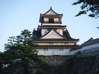 Fototapeta na wymiar Kochi castle / 高知城