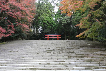 torii gate of shrine in japan