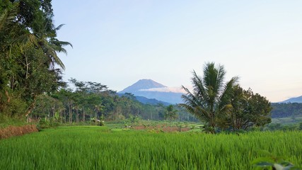 Fototapeta premium landscape with mountains and blue sky