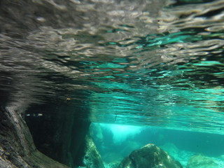 水面と水中の境目