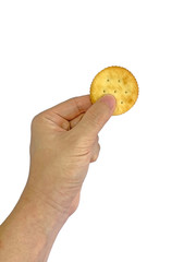 Hand holding biscuit cookie isolated on white background with clipping path.